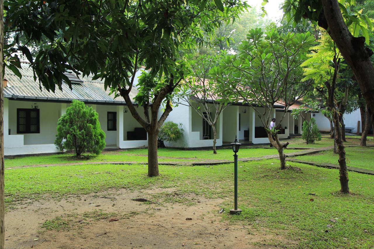 Dambulu Oya Family Park Hotel Дамбула Екстериор снимка
