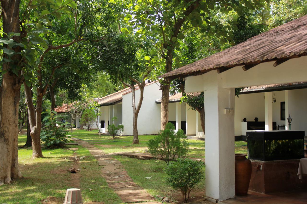 Dambulu Oya Family Park Hotel Дамбула Екстериор снимка