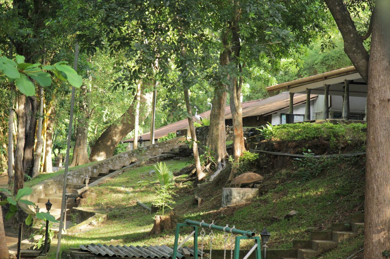 Dambulu Oya Family Park Hotel Дамбула Екстериор снимка