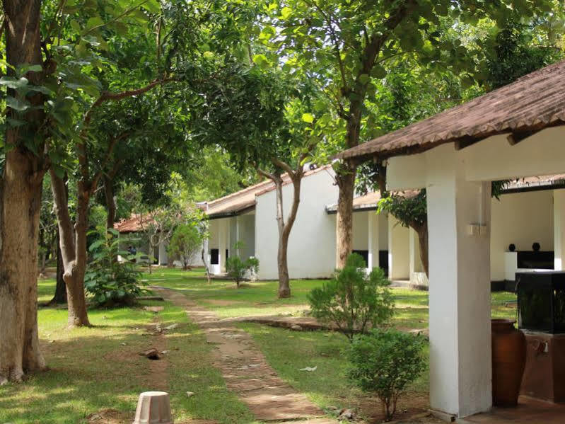 Dambulu Oya Family Park Hotel Дамбула Екстериор снимка