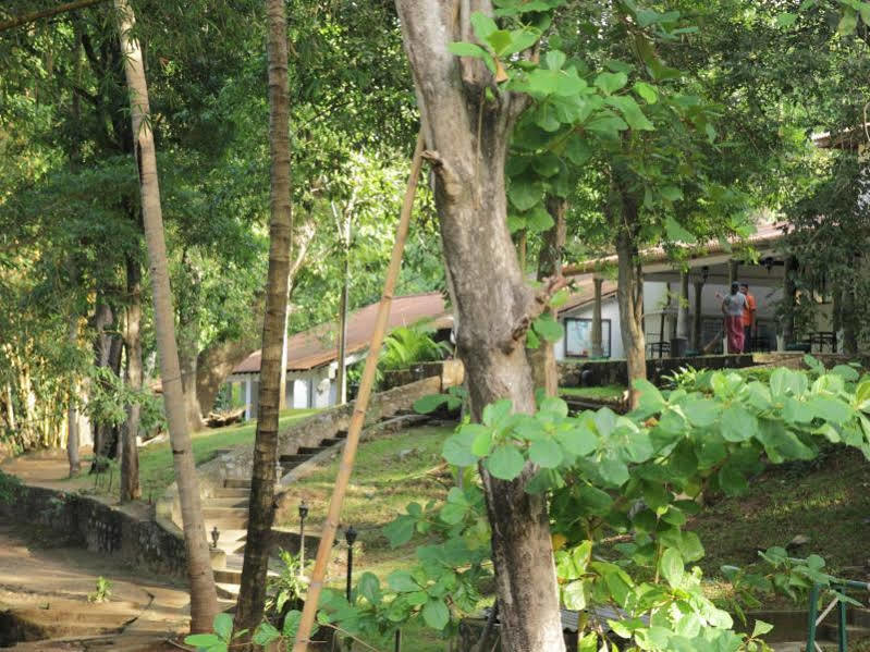 Dambulu Oya Family Park Hotel Дамбула Екстериор снимка