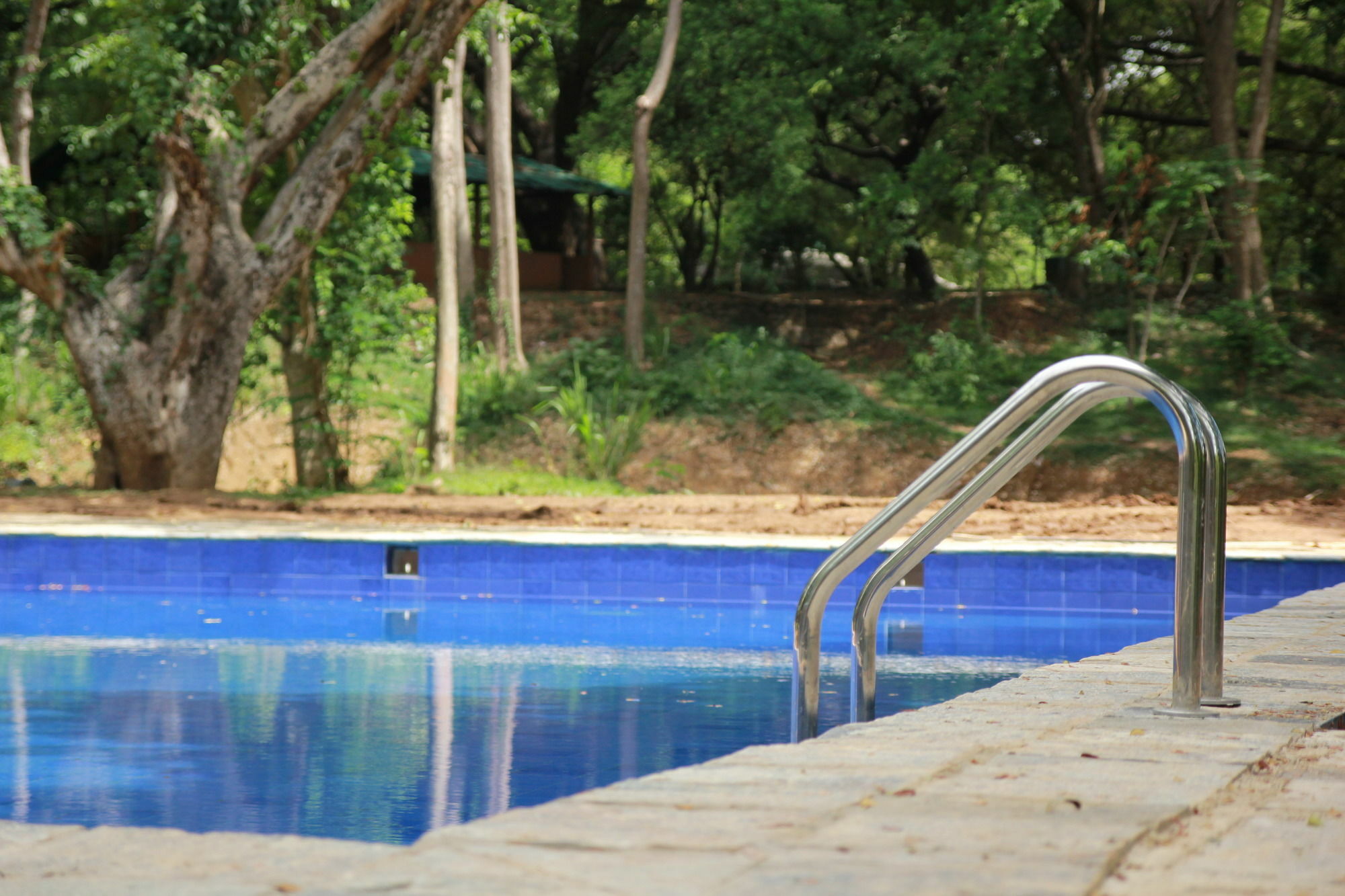 Dambulu Oya Family Park Hotel Дамбула Екстериор снимка